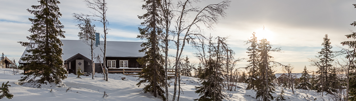 Firmahytte Trysil